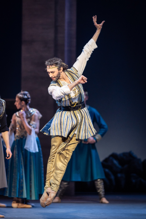 Wiener Staatsballett: "Kallirhoe", im Bild: Alessandro Frollo © Ashley Taylor Kallirhoe6