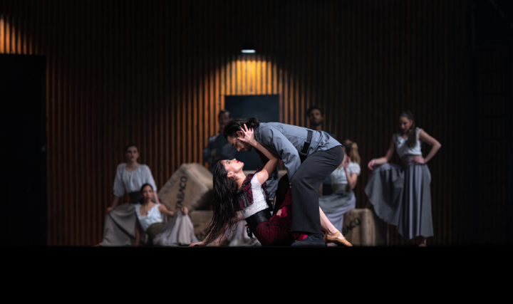 Enrique Gasa Valga / Limonada Dance Company: "Carmen" © Peter Koren Carmen2
