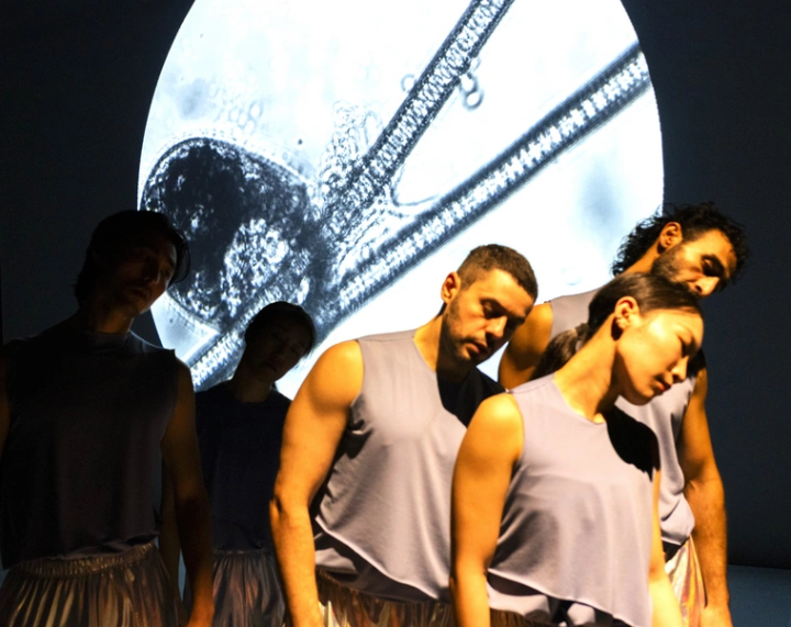 Zirkus des Wissens + Transitheart productions: "Tanz der Lilien" © Nick Mangafas Zilien3