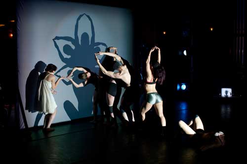 Pilobolus in SHADOWLAND © John Kane:: pilobulos